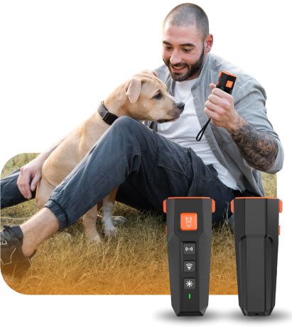 Introducing Dog Bark