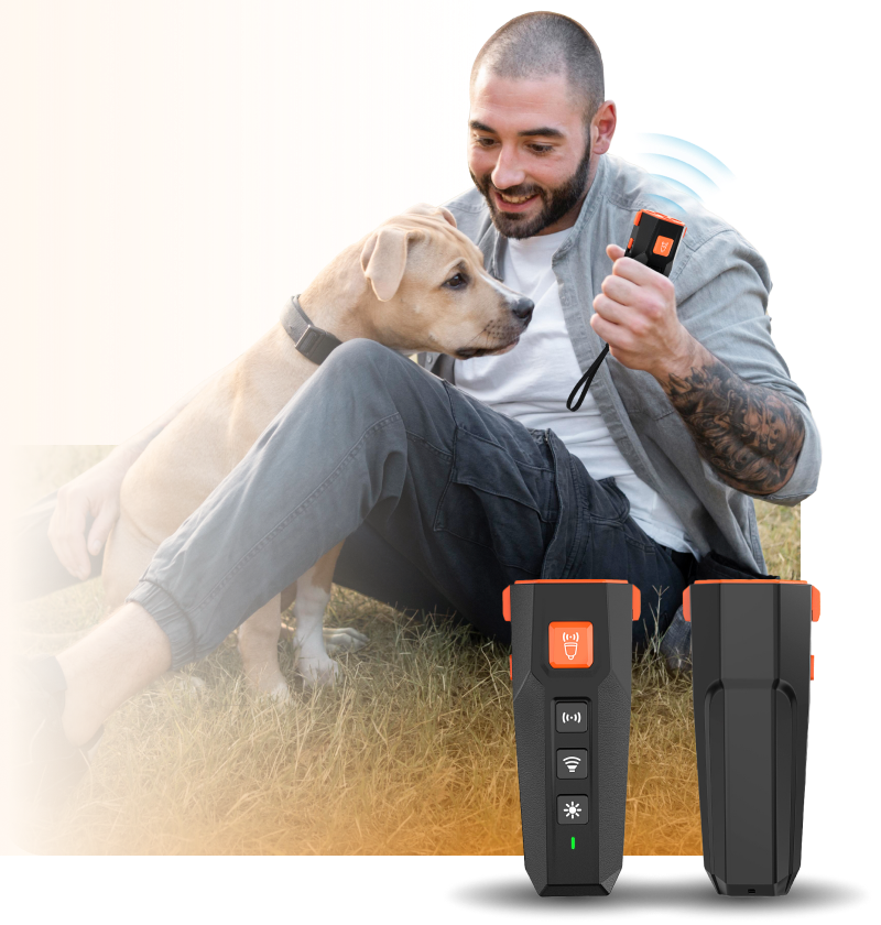 Introducing Dog Bark