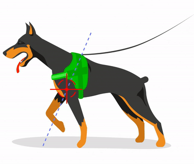 s4-dog img2